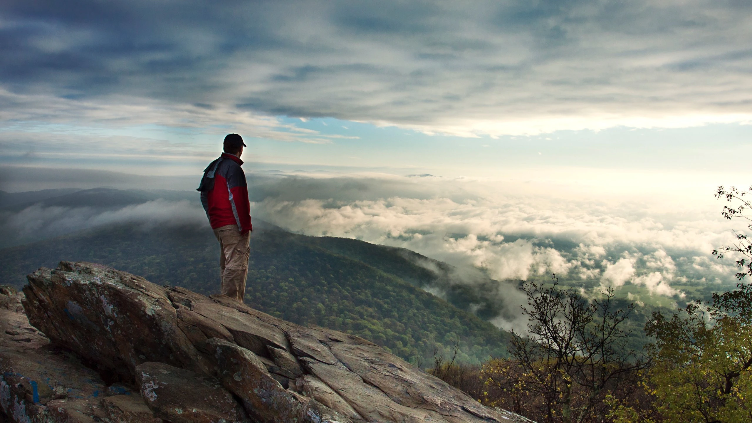 Discover The Best Of Virginia: Your Ultimate Virginia Travel Guide